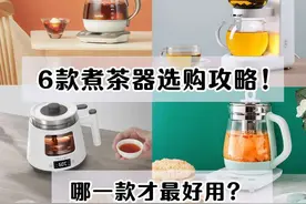 六款神仙煮茶器，哪一款才更好用图片