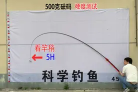 钓友都说汉鼎鱼竿便宜，那这款六百多的是怎么回事？图片