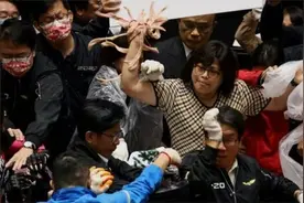 台湾地区沸沸扬扬的“莱猪”事件，到底是怎么回事？图片