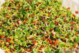 #我的健康十八式#  【萝卜苗—清肠热】图片