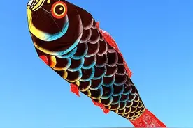 男子为什么举“鲤鱼旗”参观中山陵，暗藏哪些东西？图片