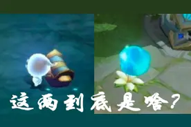玩了这么长时间王者荣耀，这两个到底叫什么？至今没人能说清楚图片