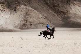 新手必读 | vivo手机自带相机拍摄操作完全指南图片