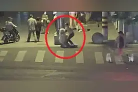 爱犬“萨摩耶”失控挣脱狗绳满街乱窜，犬主人被处行政处罚 | 申晨间图片