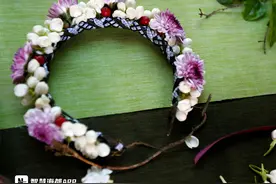 一年开三次、号称“晒不死”……茉莉花还有这些冷知识图片