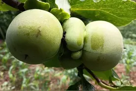 央行万亿资金大放水会引发那些行业有前景？图片