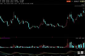 北斗导航龙头、同行中唯一盈利的华测导航图片