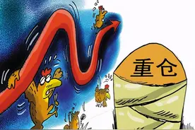 基金持仓情况都是公开的，为什么不参考持仓情况直接投资股票呢？图片