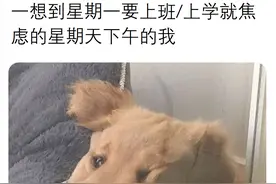 梗图合集：一想到星期一要上班，就焦虑得睡不着觉的我图片