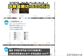 人人影视倒下了，我们尊重的版权，成为了挣我们钱的最佳工具图片