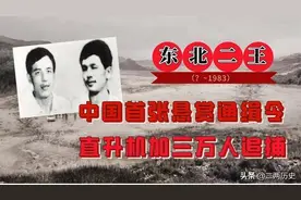 东北“二王”案件回顾：为什么案发后七个月才最终被击毙？图片