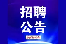 82人！石家庄最新招聘来了，岗位表看过来图片