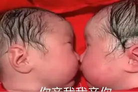 龙凤胎出生仅半小时，妹妹就对哥哥“下嘴”了，萌翻一堆网友图片