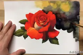 适合零基础学习，46步教你画一朵水彩红玫瑰图片