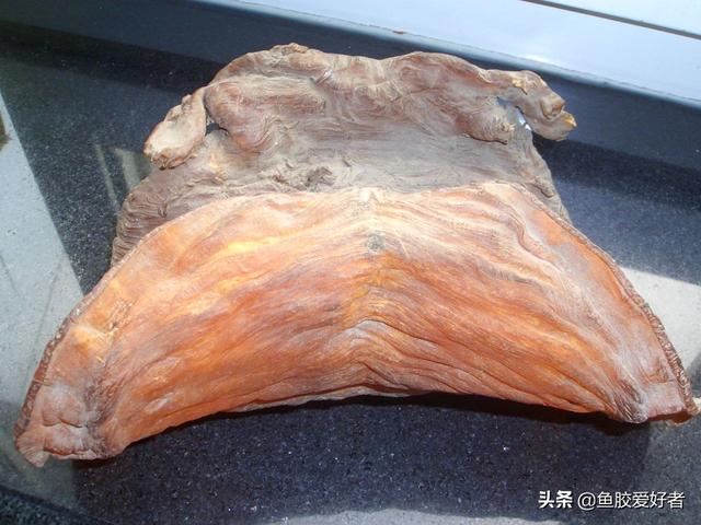 减肥的时候可以吃花胶吗 2026年减肥期间可以吃花胶吗?