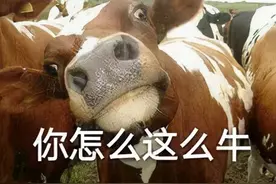 不能边洗澡边吃橙子？不能舔蟾蜍？美国各州「奇葩法律」大赏图片