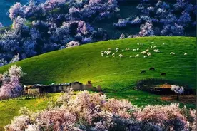 新疆好玩的地方推荐图片