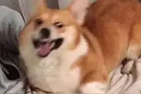 网友那些奇奇怪怪的记单词技巧图片