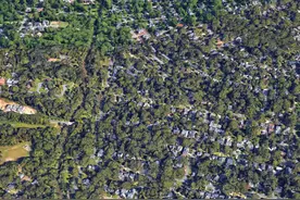 夏洛特：美国银行总部所在地，一座真正的“森林城市”图片