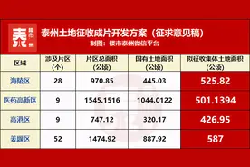 拆！约2041万方！泰州土地征收成片开发方案出炉图片