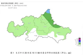泰安：强对流降雨天气预报图片