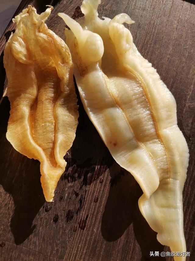鱼胶贵还是燕窝贵 鱼胶贵还是燕窝贵一点