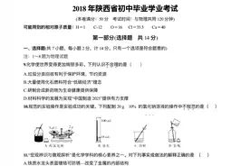 2018年陕西省中考化学试题及答案解析图片
