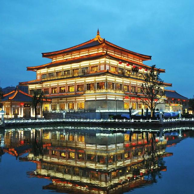 五谷杂粮绘花胶 2026年五谷杂粮花胶图片