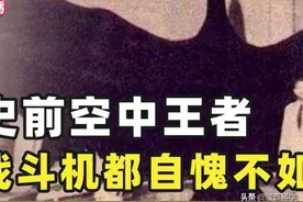 什么鸟类不拍翅膀也能飞？史前阿根廷巨鹰，现代飞机都无法超越？图片