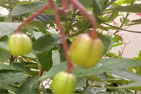 你认为人世间最大之恶是什么图片