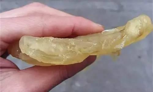 黄花筒是什么鱼的胶 2026年黄花筒胶图片大全