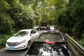 东方快评丨导航错误“添堵”亟须正确“导航”图片