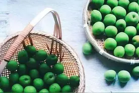 梅子青时节，酿酒正当时（附配方）图片