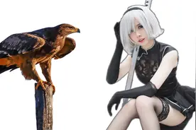 人的视力在动物界什么水平？算是顶尖高手吗？图片