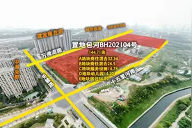 包河买房“神仙打架”！置地、蓝城、融创、中海，中骏、城建……图片