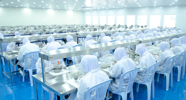 花胶炖燕窝牛奶 2026年花胶炖燕窝牛奶的功效