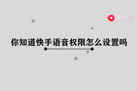 快手语音权限怎么设置图片