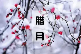 “腊月打春雨水早，正月打春春寒倒”，今年何时打春？有倒春寒吗图片
