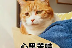 春秋航空的飞行有多稳？亲身体验告诉你图片