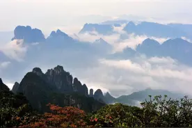 林草科普|中国生物多样性保护 - 广西林业篇图片