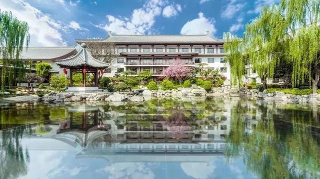 五谷杂粮绘花胶 2026年五谷杂粮花胶图片