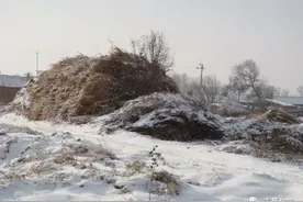 散文：我的三姑父图片