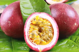 这种水果名叫“热情果”，却有温和镇静的作用图片