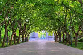 无锡又一免费景点火了，比鼋头渚人少，适合拍照知道的游客不多图片