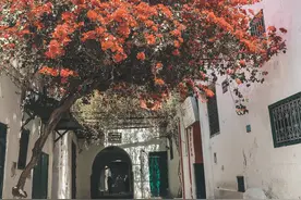 北非 摩洛哥 丹吉尔老城区图片