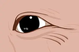 40岁后视力不行，看东西模糊，是怎么回事？告诉你真相图片