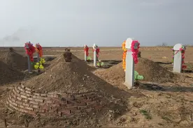 农村人称：“坟生荒草后人稀，屋生蛛网主无力”，是啥意思？图片