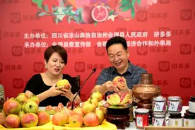 四川凉山会理县副县长拼多多直播：82万网友围观，一小时卖出两万斤石榴图片