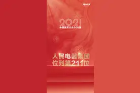 中国民营企业500强，人民电器集团位列第211位图片
