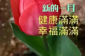 美女表情包：生理年龄无法抗拒，但生活方式的年轻掌握在自己手里图片